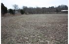 Property photo 15 - ABSOLUTE AUCTION - 298 Acres Offered in 4 Tracts